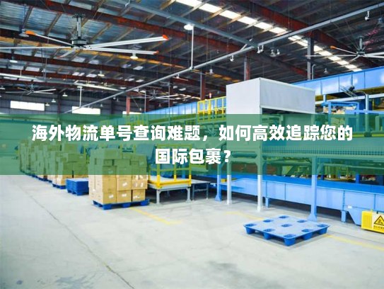 海外物流单号查询难题，如何高效追踪您的国际包裹？