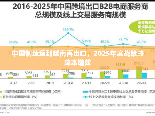 中国制造运到越南再出口,2025年实战策略降本增效 中国制造运到越南再出口,2025年实战策略降本增效