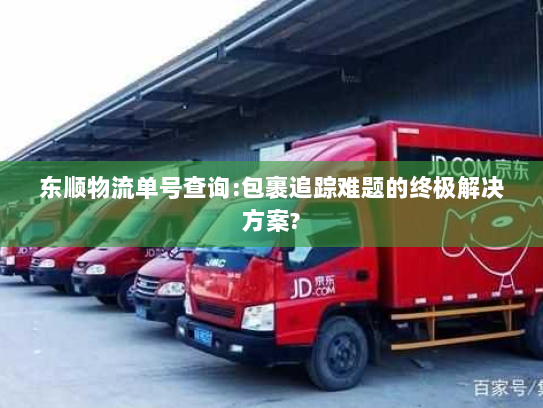 东顺物流单号查询:包裹追踪难题的终极解决方案?