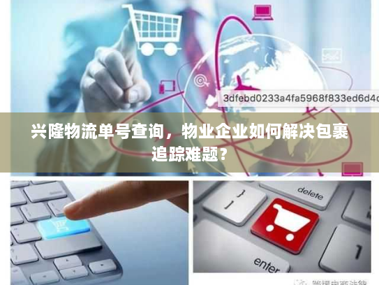 兴隆物流单号查询，物业企业如何解决包裹追踪难题？