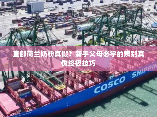 直邮荷兰奶粉真假？新手父母必学的辨别真伪终极技巧