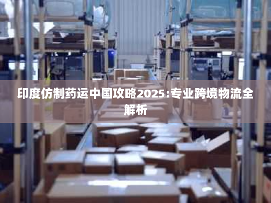 印度仿制药运中国攻略2025:专业跨境物流全解析