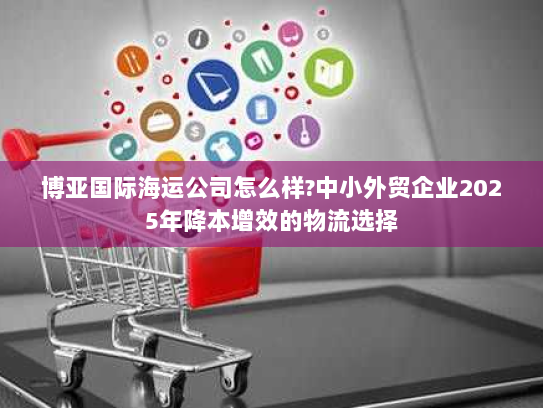 博亚国际海运公司怎么样?中小外贸企业2025年降本增效的物流选择