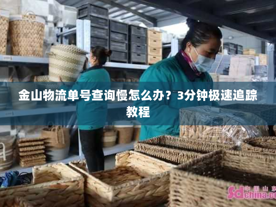 金山物流单号查询慢怎么办？3分钟极速追踪教程