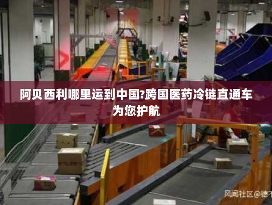 阿贝西利哪里运到中国?跨国医药冷链直通车为您护航 阿贝西利哪里运到中国?跨国医药冷链直通车为您护航