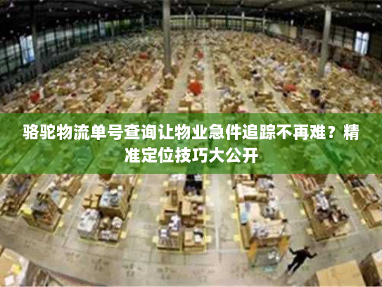 骆驼物流单号查询让物业急件追踪不再难？精准定位技巧大公开