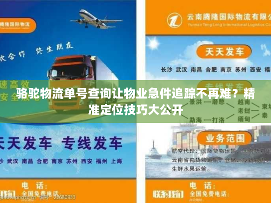 骆驼物流单号查询让物业急件追踪不再难？精准定位技巧大公开