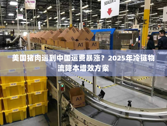 美国猪肉运到中国运费暴涨？2025年冷链物流降本增效方案