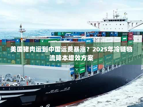 美国猪肉运到中国运费暴涨？2025年冷链物流降本增效方案