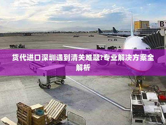 货代进口深圳遇到清关难题?专业解决方案全解析 货代进口深圳遇到清关难题?专业解决方案全解析