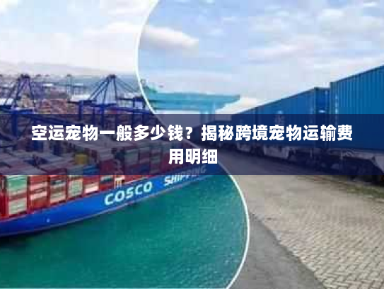 空运宠物一般多少钱？揭秘跨境宠物运输费用明细