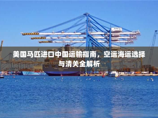 美国马匹进口中国运输指南,空运海运选择与清关全解析 美国马匹进口中国运输指南,空运海运选择与清关全解析