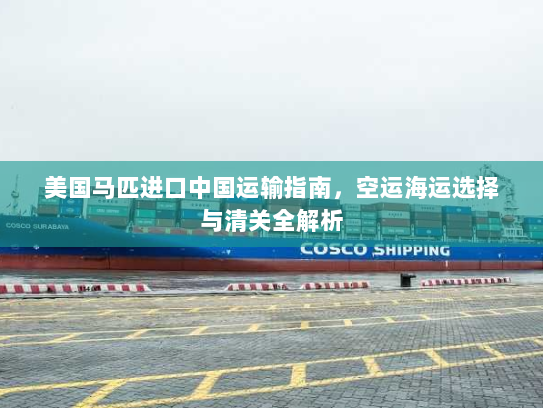 美国马匹进口中国运输指南,空运海运选择与清关全解析 美国马匹进口中国运输指南,空运海运选择与清关全解析