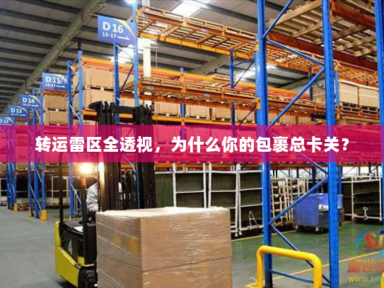 转运雷区全透视，为什么你的包裹总卡关？