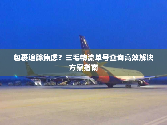 包裹追踪焦虑？三毛物流单号查询高效解决方案指南
