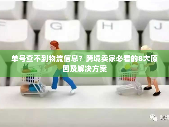 单号查不到物流信息？跨境卖家必看的8大原因及解决方案