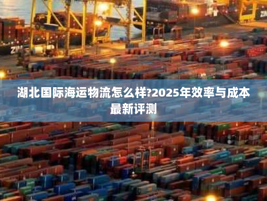 湖北国际海运物流怎么样?2025年效率与成本最新评测