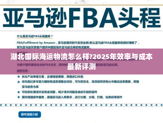 湖北国际海运物流怎么样?2025年效率与成本最新评测