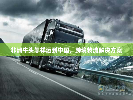 非洲牛头怎样运到中国,跨境物流解决方案 非洲牛头怎样运到中国,跨境物流解决方案
