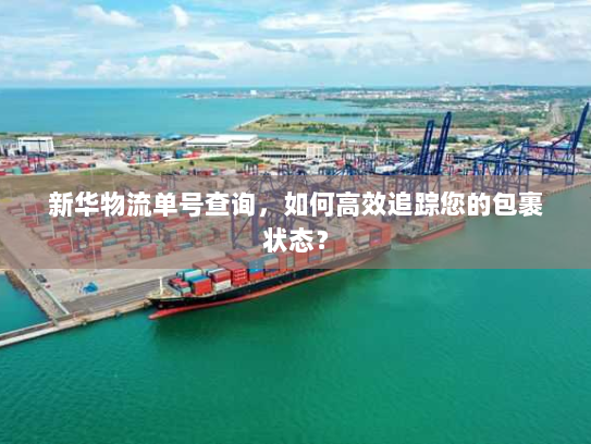 新华物流单号查询，如何高效追踪您的包裹状态？