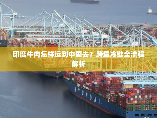 印度牛肉怎样运到中国去?跨境冷链全流程解析 印度牛肉怎样运到中国去?跨境冷链全流程解析