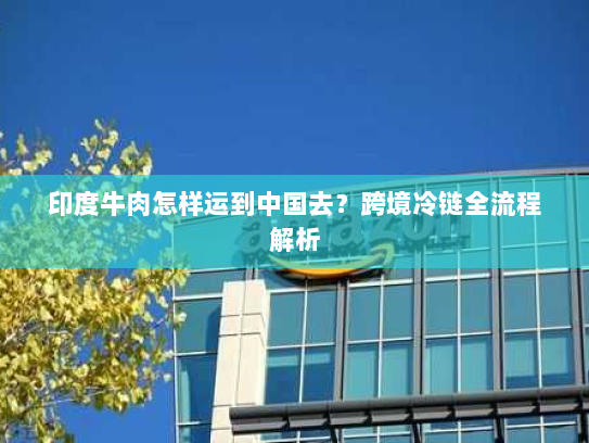 印度牛肉怎样运到中国去？跨境冷链全流程解析