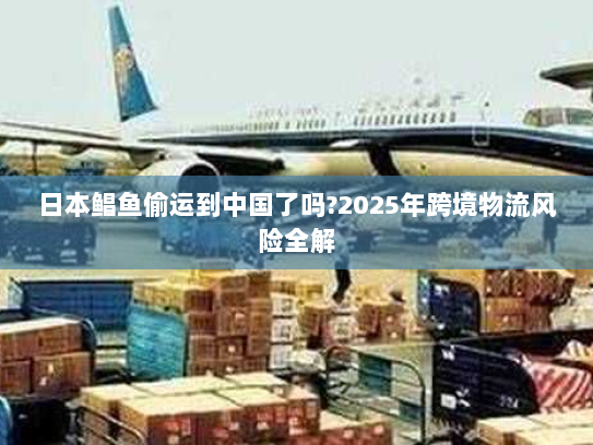日本鲳鱼偷运到中国了吗?2025年跨境物流风险全解