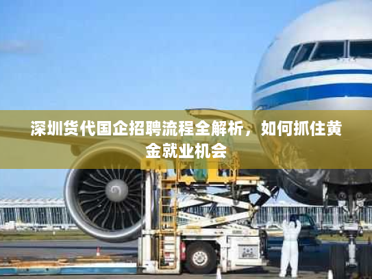 深圳货代国企招聘流程全解析，如何抓住黄金就业机会