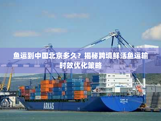 鱼运到中国北京多久?揭秘跨境鲜活鱼运输时效优化策略 鱼运到中国北京多久?揭秘跨境鲜活鱼运输时效优化策略