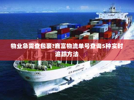 物业急需查包裹?鹿富物流单号查询5种实时追踪方法