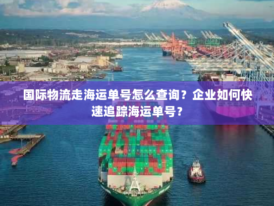 国际物流走海运单号怎么查询？企业如何快速追踪海运单号？
