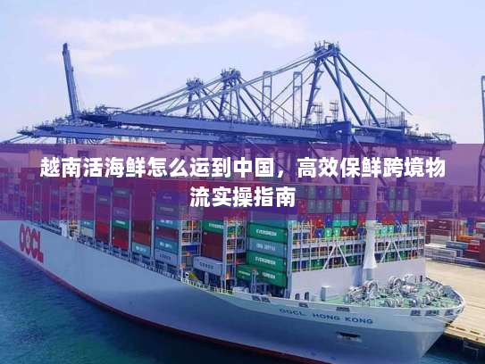 越南活海鲜怎么运到中国,高效保鲜跨境物流实操指南 越南活海鲜怎么运到中国,高效保鲜跨境物流实操指南