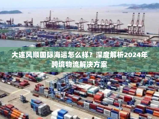 大连风顺国际海运怎么样？深度解析2024年跨境物流解决方案