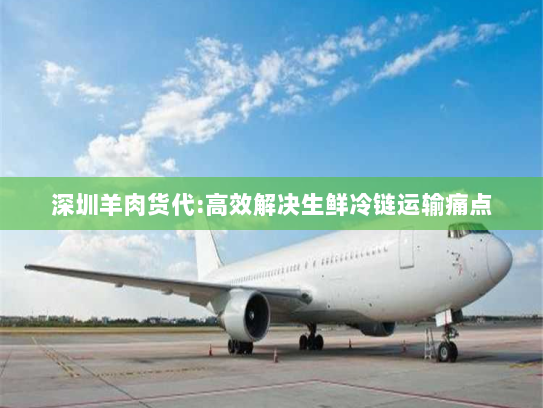 深圳羊肉货代:高效解决生鲜冷链运输痛点
