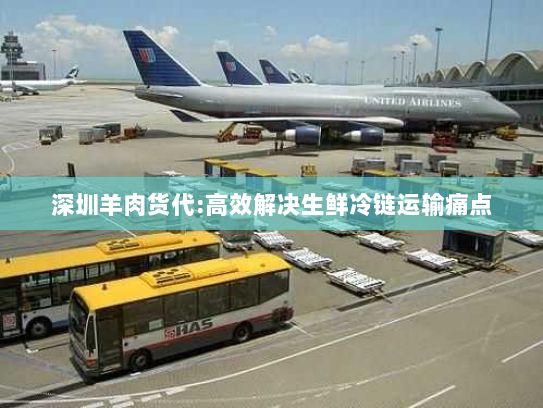 深圳羊肉货代:高效解决生鲜冷链运输痛点