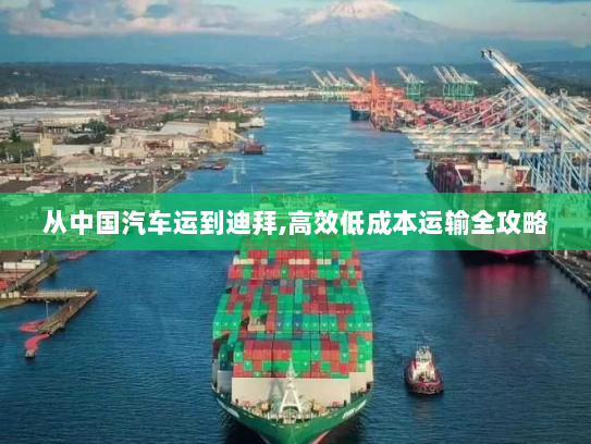 从中国汽车运到迪拜,高效低成本运输全攻略