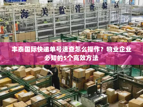 丰泰国际快递单号速查怎么操作？物业企业必知的5个高效方法