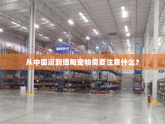 从中国运到缅甸宠物需要注意什么？