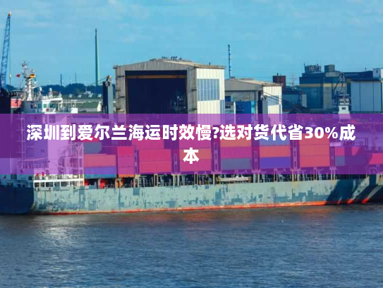 深圳到爱尔兰海运时效慢?选对货代省30%成本 深圳到爱尔兰海运时效慢?选对货代省30%成本