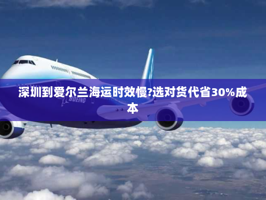 深圳到爱尔兰海运时效慢?选对货代省30%成本 深圳到爱尔兰海运时效慢?选对货代省30%成本