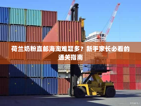 荷兰奶粉直邮海淘难题多？新手家长必看的通关指南