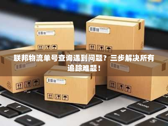 联邦物流单号查询遇到问题？三步解决所有追踪难题！