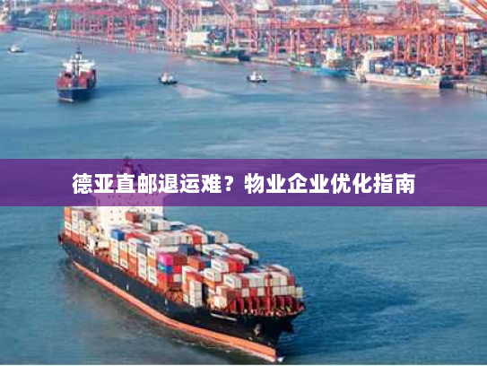 德亚直邮退运难？物业企业优化指南