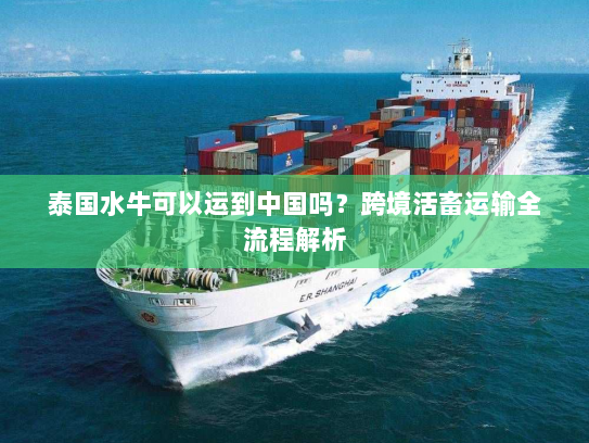 泰国水牛可以运到中国吗？跨境活畜运输全流程解析