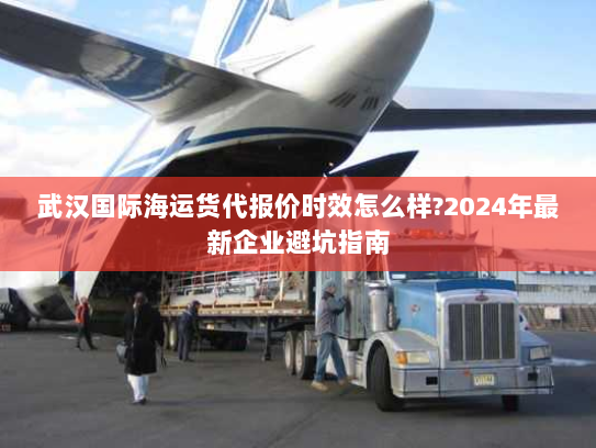 武汉国际海运货代报价时效怎么样?2024年最新企业避坑指南