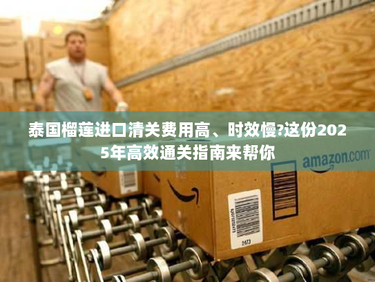 泰国榴莲进口清关费用高、时效慢?这份2025年高效通关指南来帮你