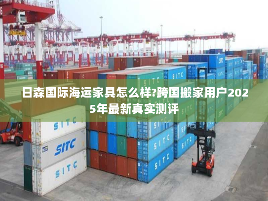 日森国际海运家具怎么样?跨国搬家用户2025年最新真实测评