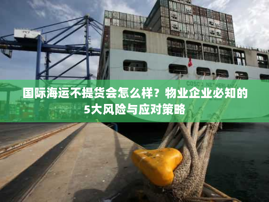 国际海运不提货会怎么样?物业企业必知的5大风险与应对策略 国际海运不提货会怎么样?物业企业必知的5大风险与应对策略