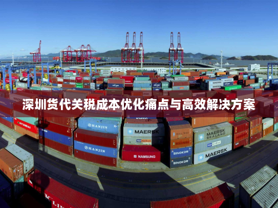 深圳货代关税成本优化痛点与高效解决方案 深圳货代关税成本优化痛点与高效解决方案