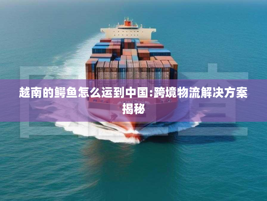 越南的鳄鱼怎么运到中国:跨境物流解决方案揭秘 越南的鳄鱼怎么运到中国:跨境物流解决方案揭秘
